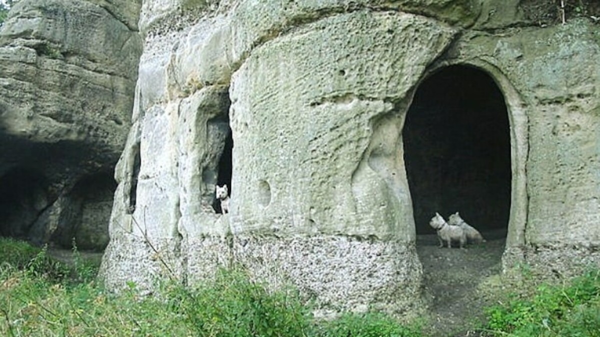 Król i jego pustelnia. Badania jaskini Anchor Church w Wielkiej Brytanii