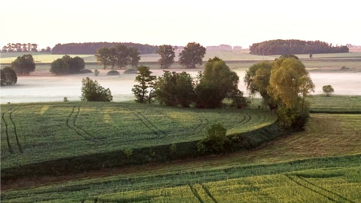 Jezioro na środku łąki - wykład online