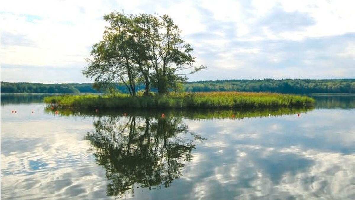 Wyspy i władza na Pomorzu - wykład Bartosza Tietza