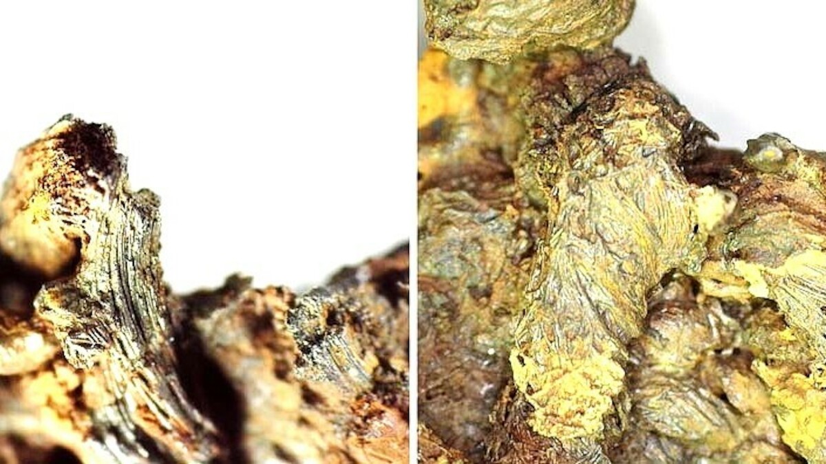 Włócznia i sztandar - spektakularne odkrycie na Pomorzu