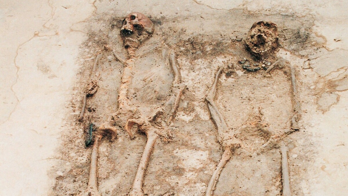 Szczątki ludzkie jako źródło wiedzy o życiu i śmierci w dawnych czasach. Gawęda antropologa - spotkanie z prof. Tomaszem Kozłowskim