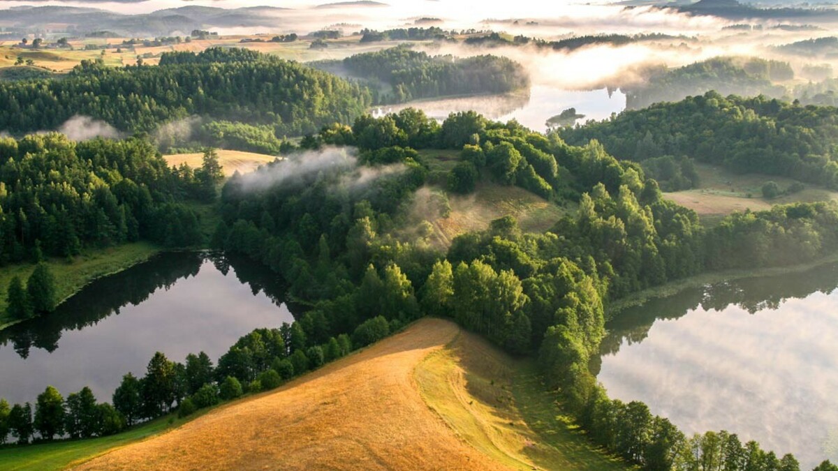 Stan i potrzeby badań nad wczesnym średniowieczem w Polsce – 40 lat później