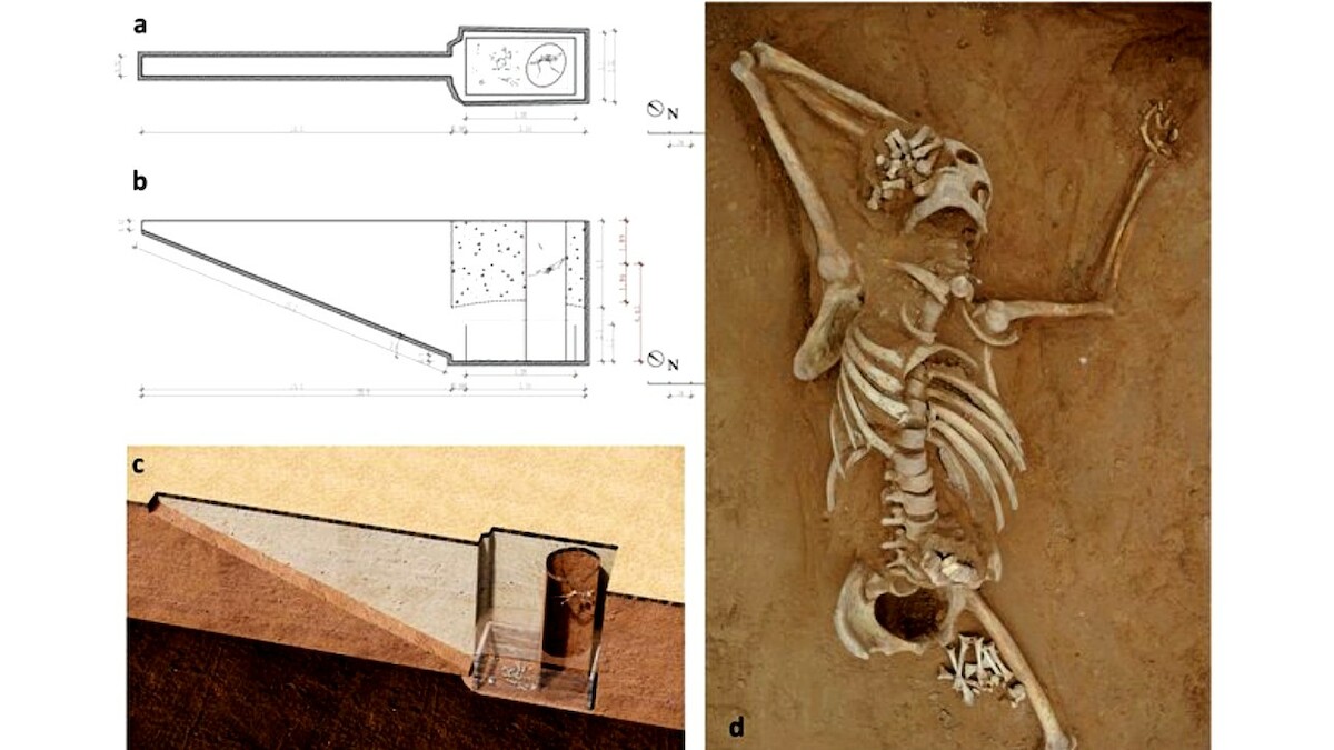 Widok grobowca z góry (a), przekrój (b) i rekonstrukcja 3D grobu, w którym znaleziono szkielet mężczyzyny (d). Źródło: <a href='https://www.researchgate.net/publication/355356702_Hiding_a_leaf_in_the_forest_uncovering_a_1300-year-old_homicide_case_in_a_2000-year-old_cemetery' rel='noopener'>Archaeological and Anthropological Sciences</a>.