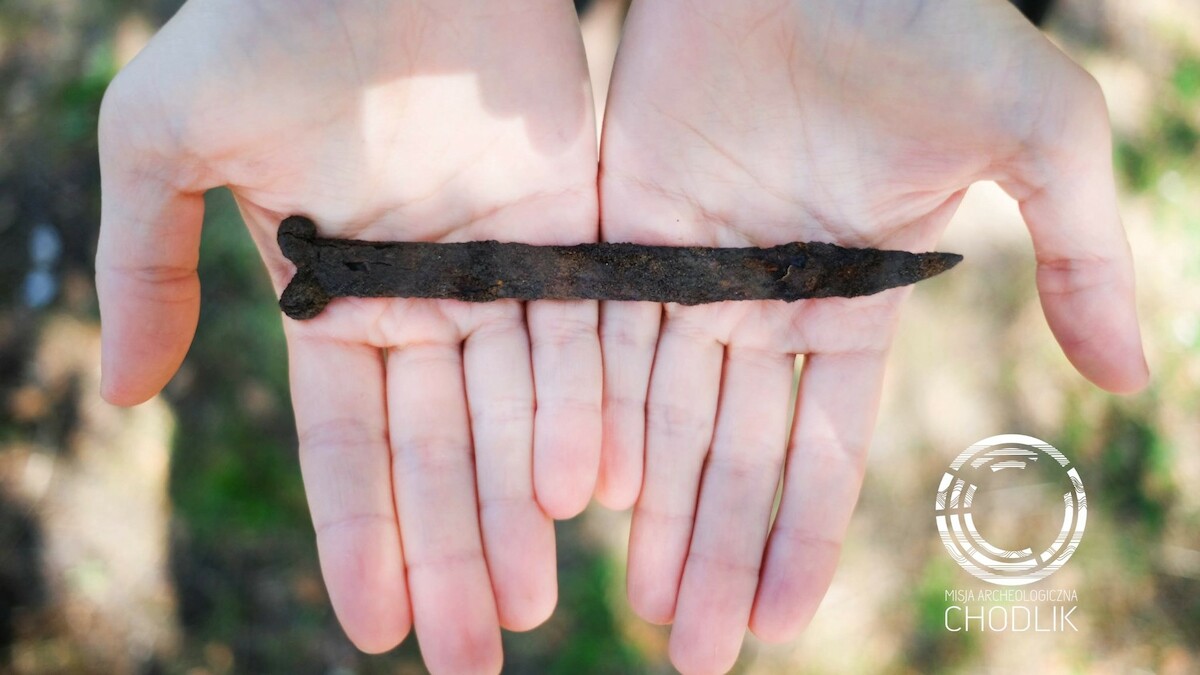 Noż wolutowy odkryty w 2022 r. w okolicach grodziska w Chodliku, woj. lubelskie. Źródło: <a href='https://www.facebook.com/photo?fbid=467506518714609&set=pcb.467510905380837' rel='noopener'>Archeologia i starożytności Chodlika</a>.