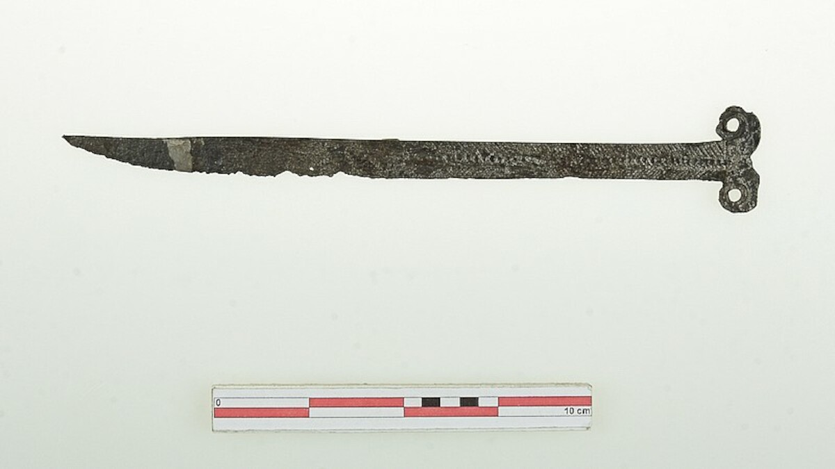 Nóż wolutowy z Bonikowa, woj. wielkopolskie. Źródło: MPPP w Gnieźnie (depozyt z Instytutu Archeologii i Etnologii PAN w Poznaniu).