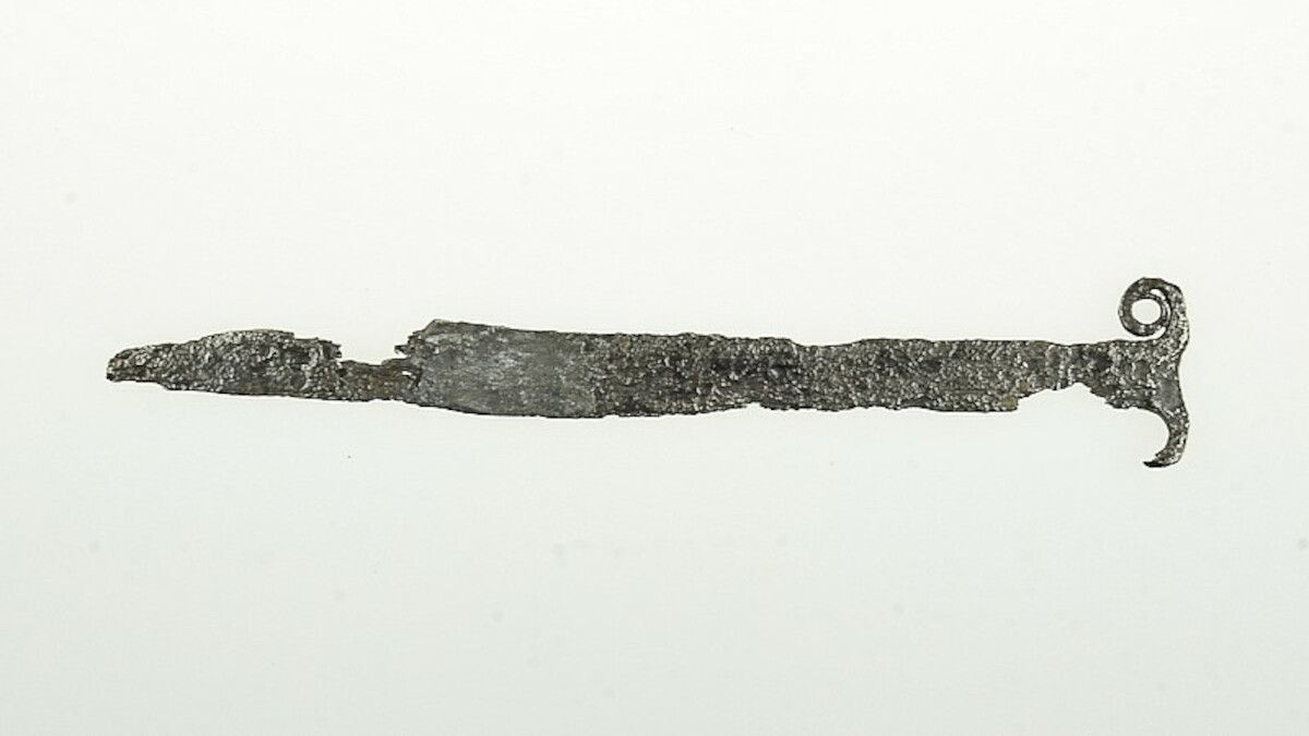 Nóż wolutowy z Bnina, woj. wielkopolskie. Źródło: MPPP w Gnieźnie (depozyt z Wydziału Archeologii UAM w Poznaniu).