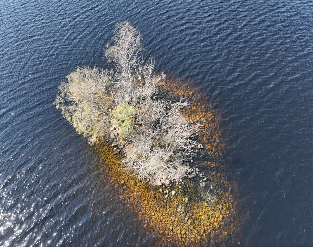 Cranog na Loch Achility, <a href='https://www.socantscot.org/wp-content/uploads/2025/03/Loch-Achilty-from-the-Air-Copyright-Andy-Hickie-1024x807.jpg'>© Andy Hickie</a>