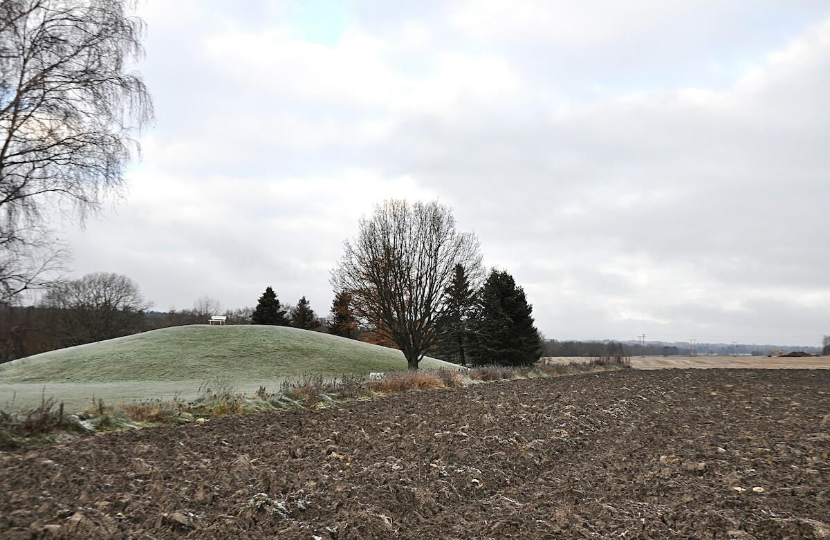 Oseberghaugen, czyli kurhan w Osebergu w Vestfoldzie, w którym odkryto w 1904 r. słynny pochówek łodziowy. Źródło: <a href='https://pl.wikipedia.org/wiki/Vestfold#/media/Plik:Oseberghaugen,_Norge_Viking_burial_mound,_T%C3%B8nsberg,_Norway_hoarfrost_November_2011.jpg'>domena publiczna </a>.