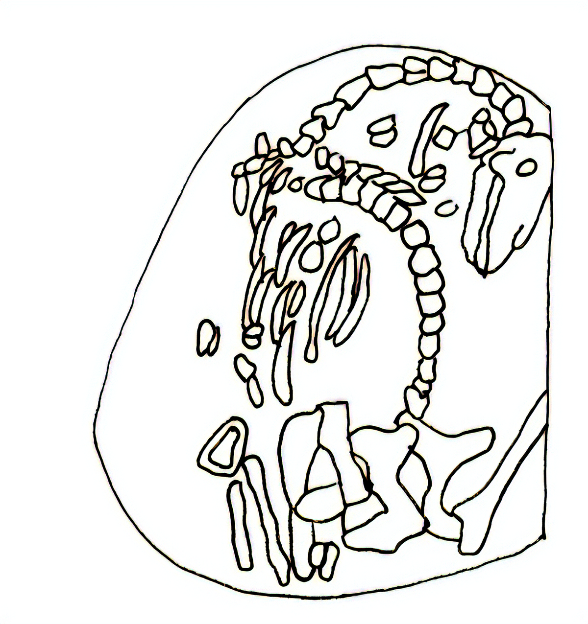 Grób nr K24(26) ze stanowiska w Małym Kaupie (Vladimir I. Kulakov, Gruntovoj mogiln’ik Malyj Kaup: raskopki i nahodki, Archaeologija Lithuana, t. 11, 2010, s. 188-210. Oprac. Aleksandra Fijałkowska